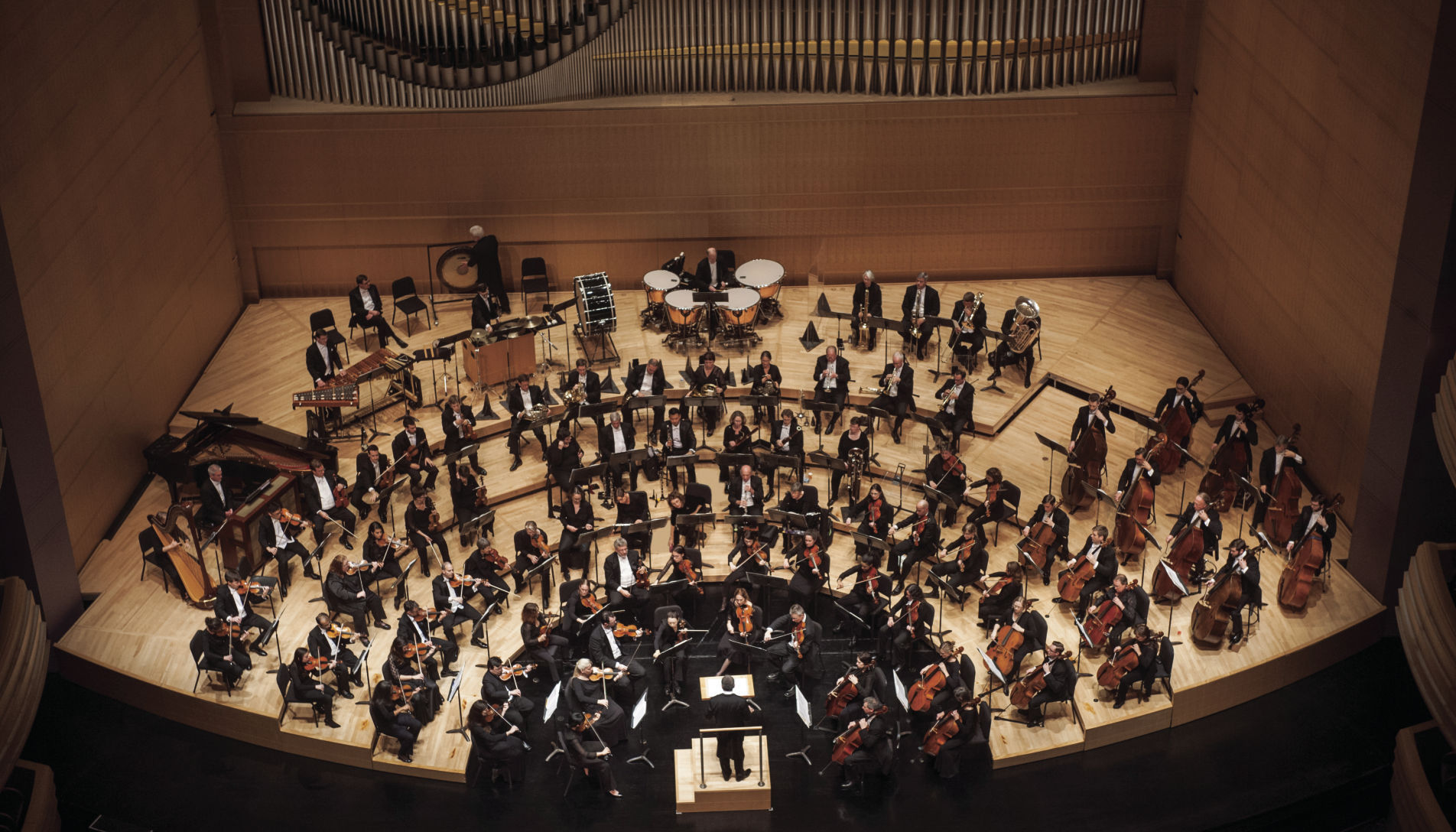 MadisonSymphony_94A_GregAnderson_cmyk.jpg